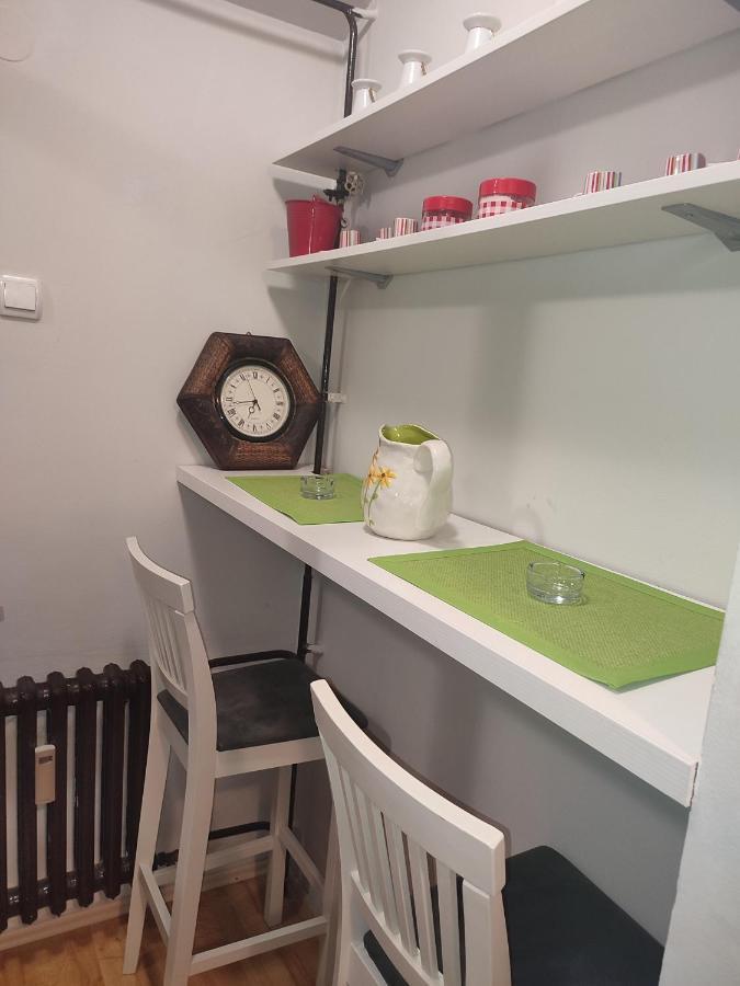 Vila Zora Apartman Banja Koviljaca Exterior photo